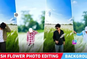Kash Flower Photo Editing Background | Kash Flower Background