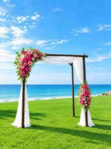Photo Editing Background