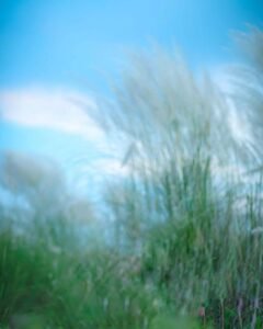 Trending Photo Background