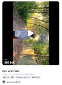 Cinematic Video Template Capcut